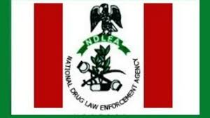 NDLEA arrests 150 suspects, seizes 7,702.114kgs of drugs in Ondo State